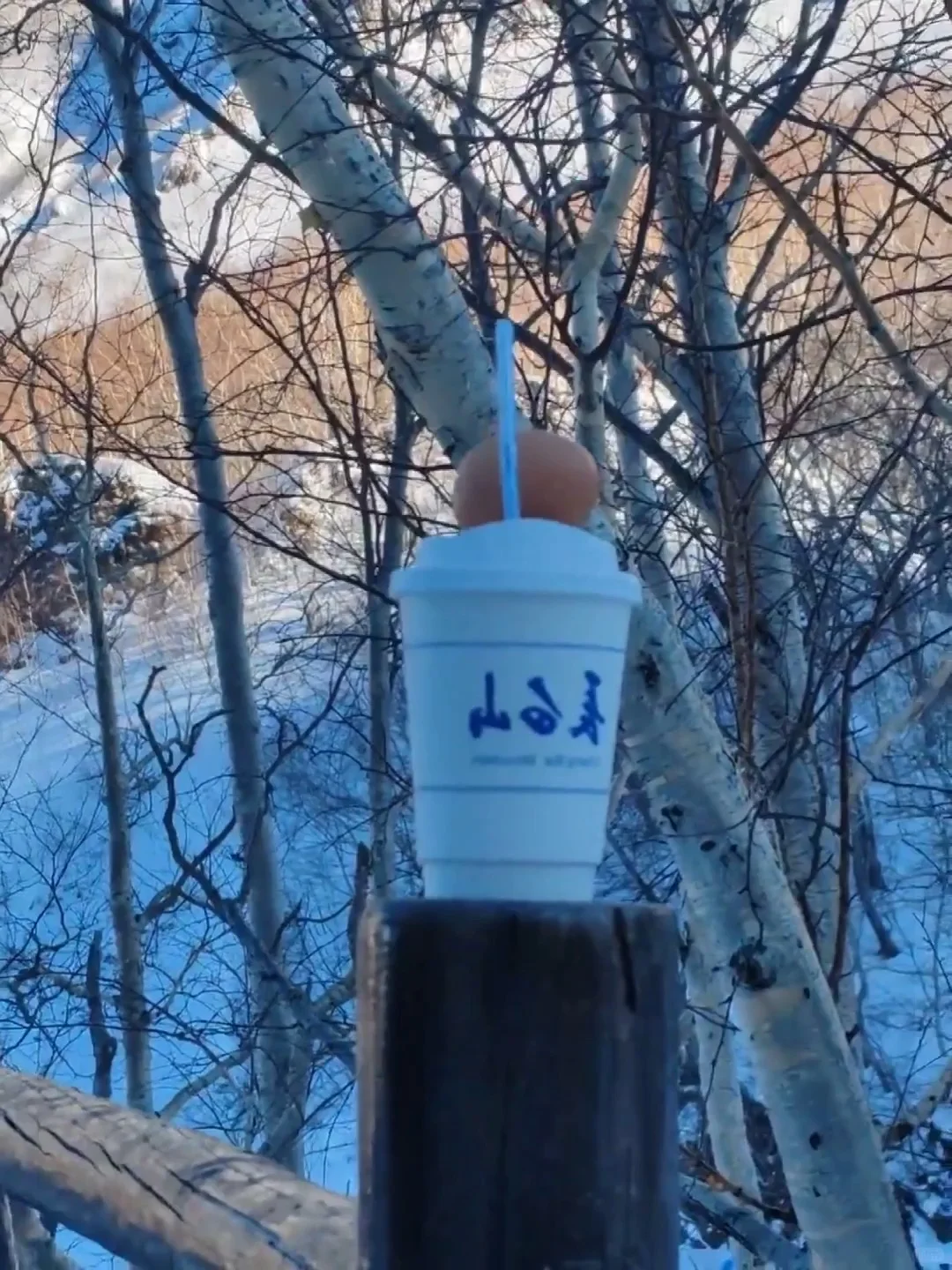 🇲🇾🇨🇳哈尔滨7D6N自由行攻略（RM3k超省）