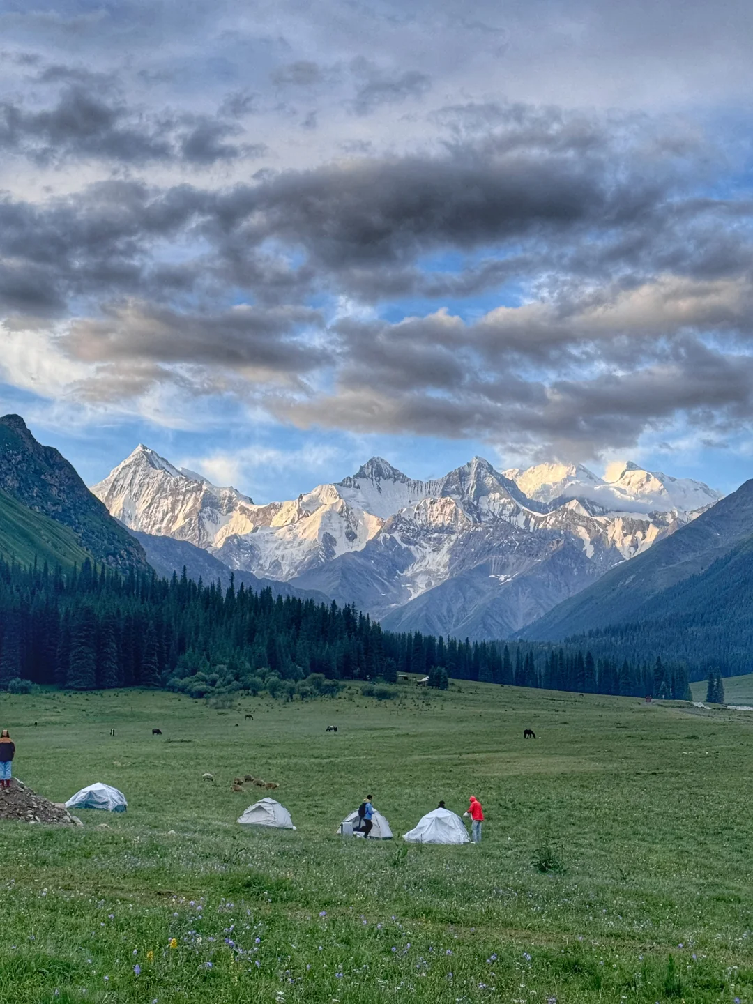 这可能是我吃的最美早餐吧🙊