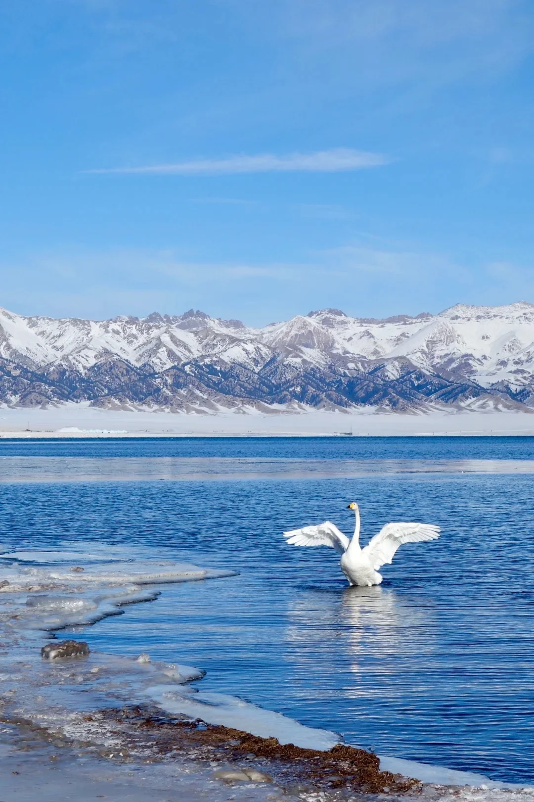 五一小长假保姆级伊犁游玩路线