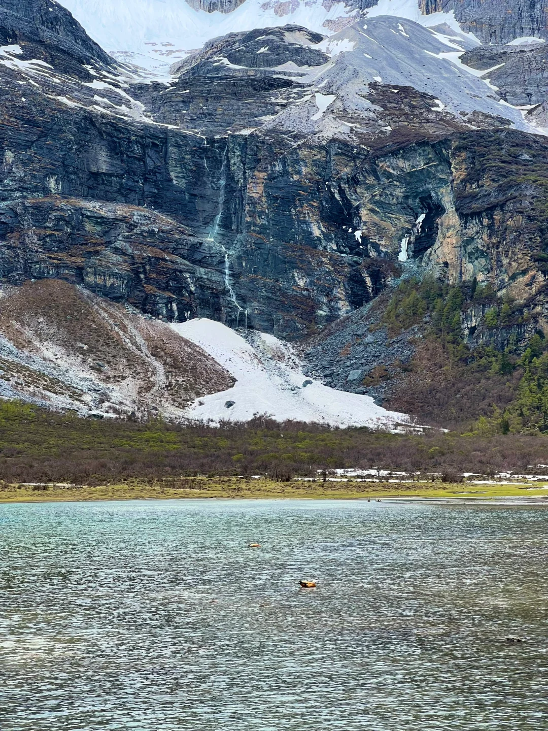 5.19稻城亚丁实况🌳从你的全世界路过…