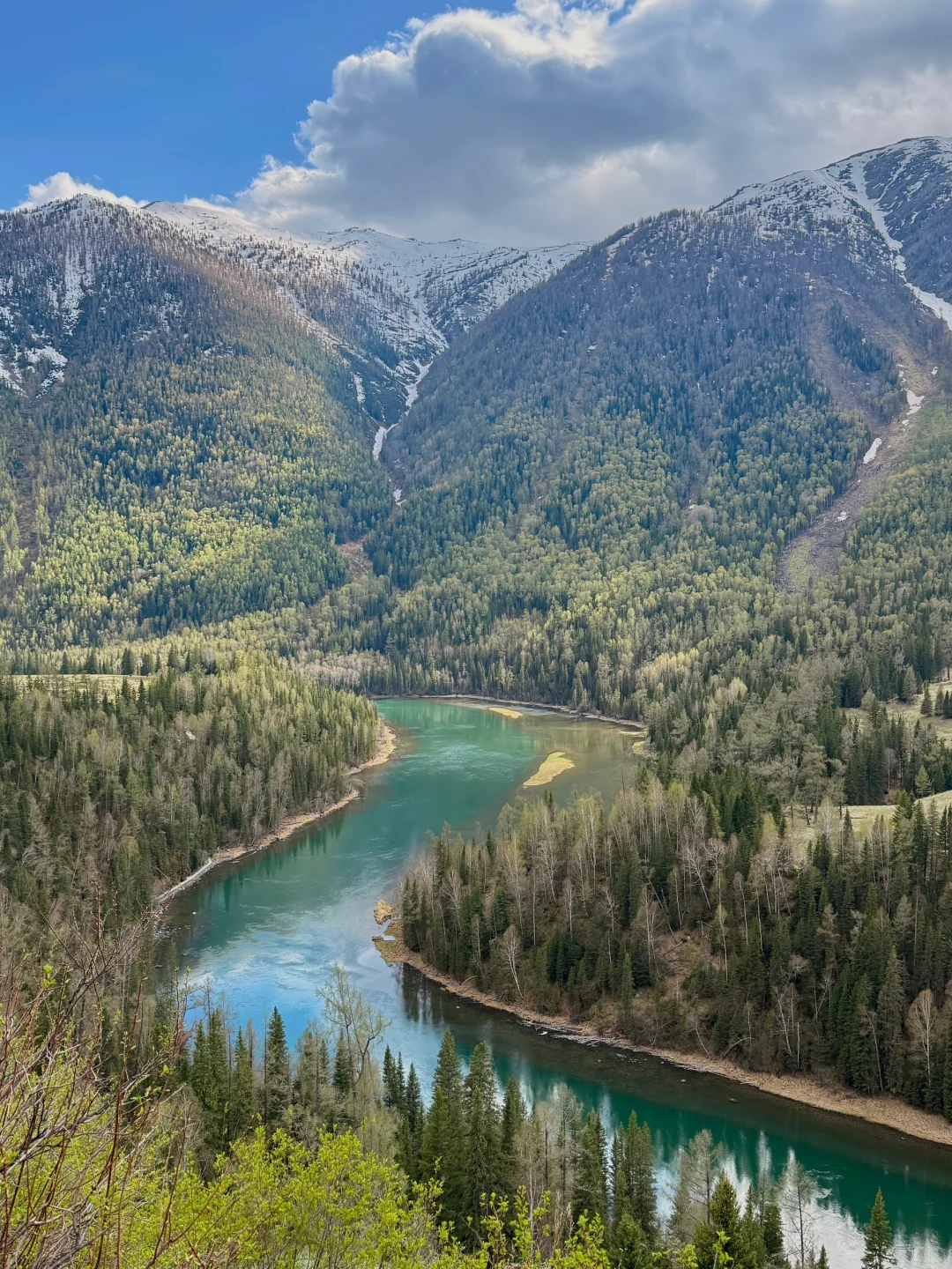5月喀纳斯真实现状‼️别再问值不值得去啦