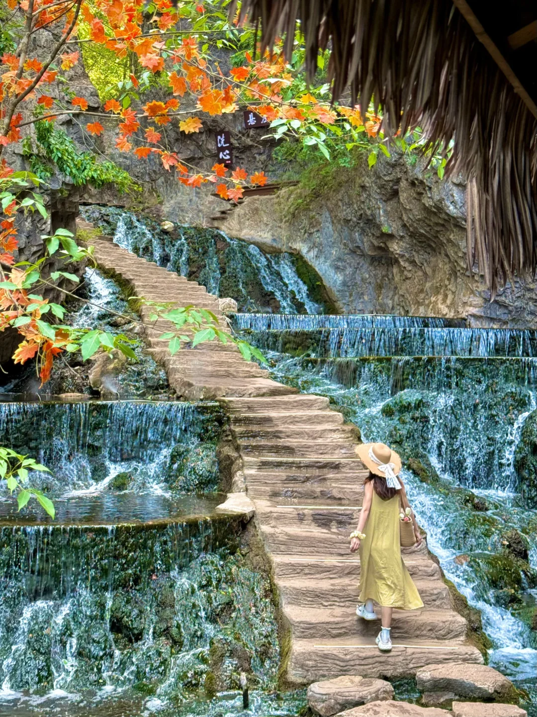 藏不住了‼️发现河南私藏绿野仙踪瀑布秘境🍃