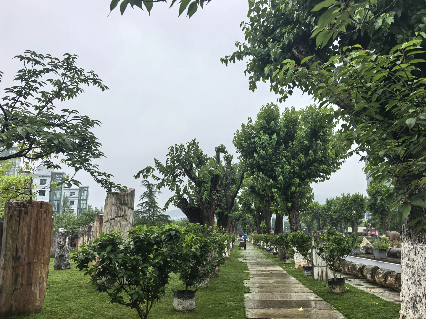 新昌打卡·达利丝绸景区