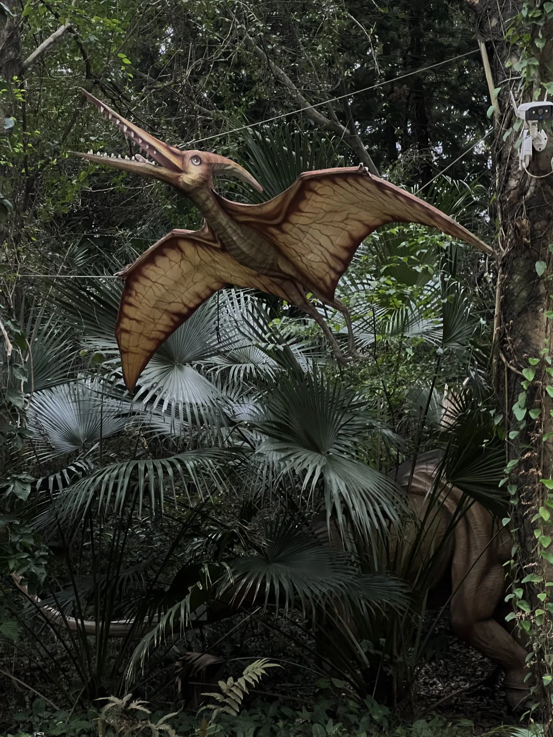 在广州，误入现实版侏罗纪公园！！太酷了！！！