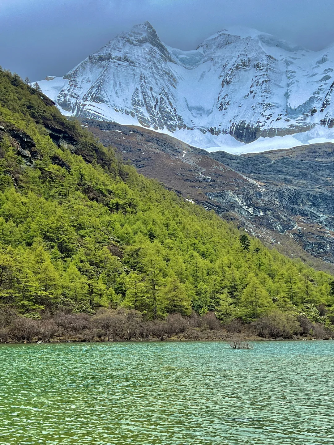 5.19稻城亚丁实况🌳从你的全世界路过…