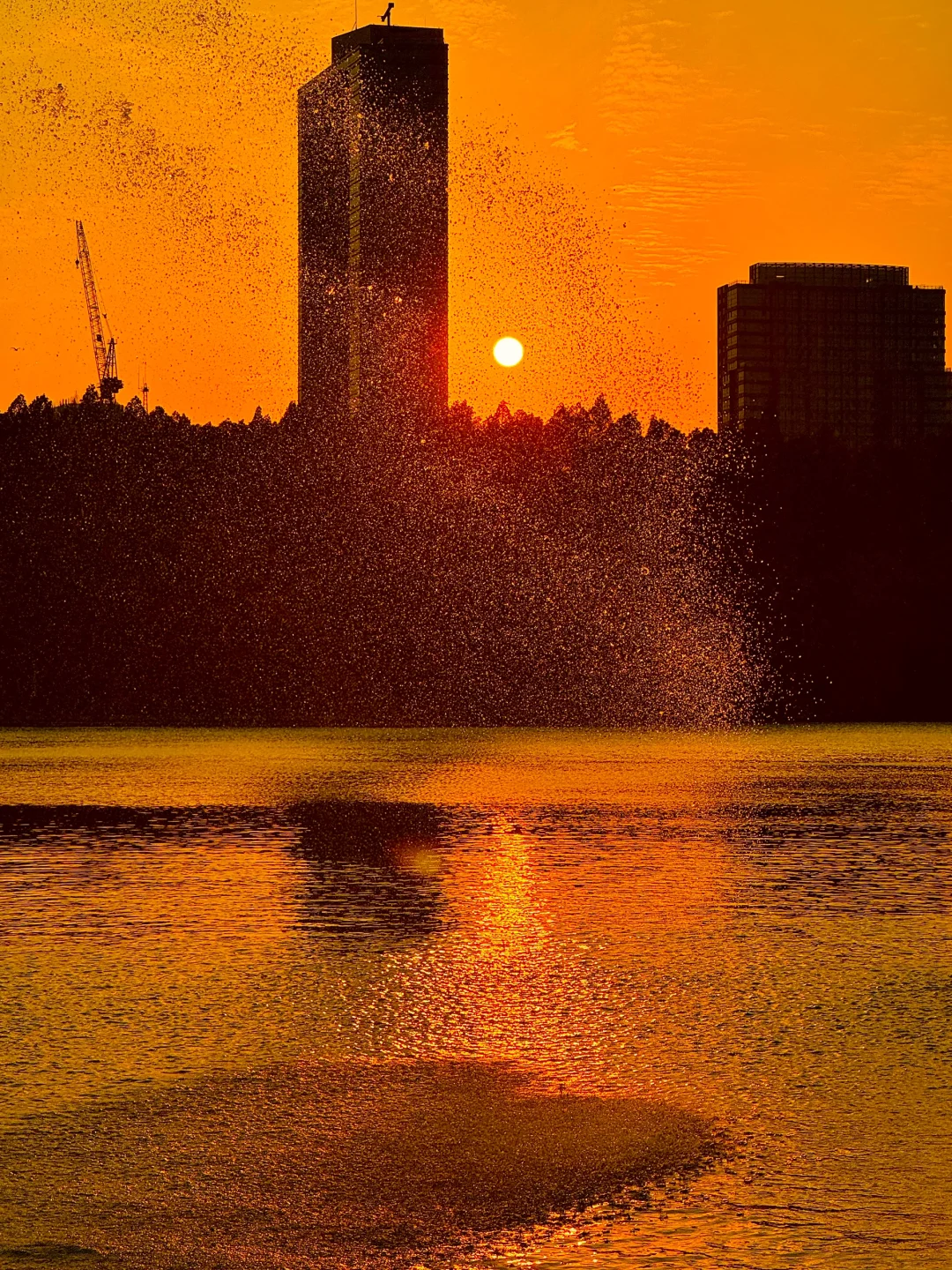 我宣布，这是南京最值得去的免费景区……