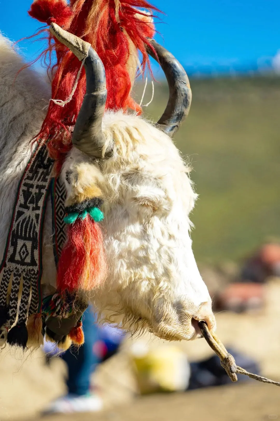 珠峰5日游经典线路及攻略