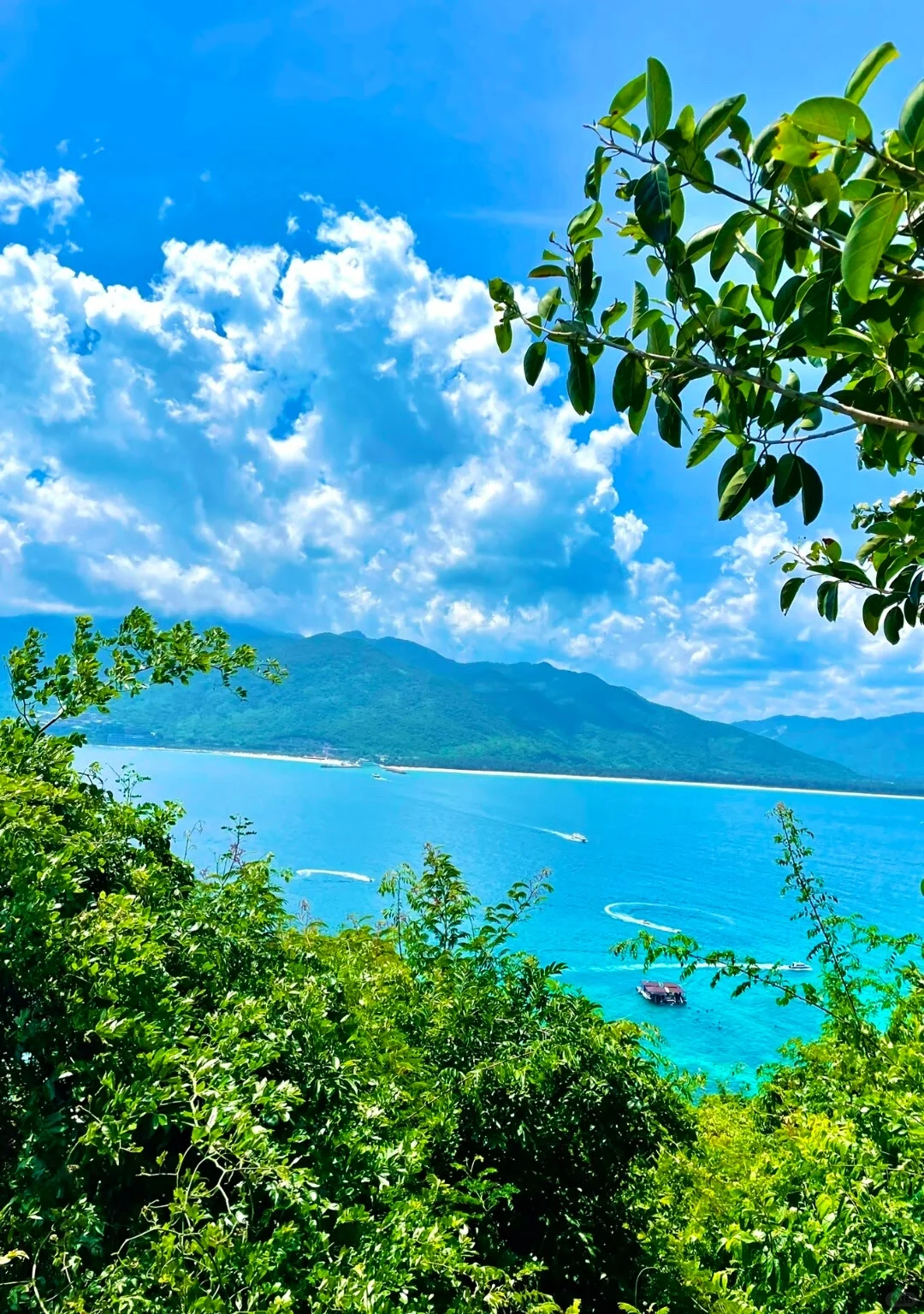 海南岛旅游攻略｜避坑指南