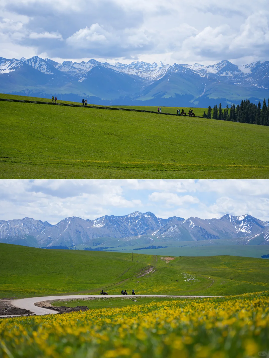 去过十几次新疆，说说我心中最美草原前三