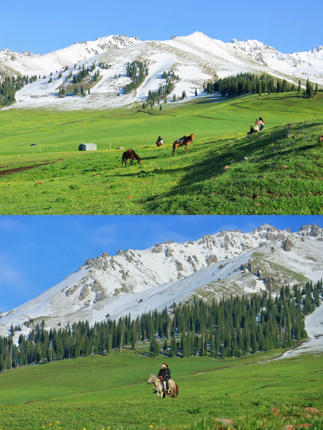 去过十几次新疆，说说我心中最美草原前三