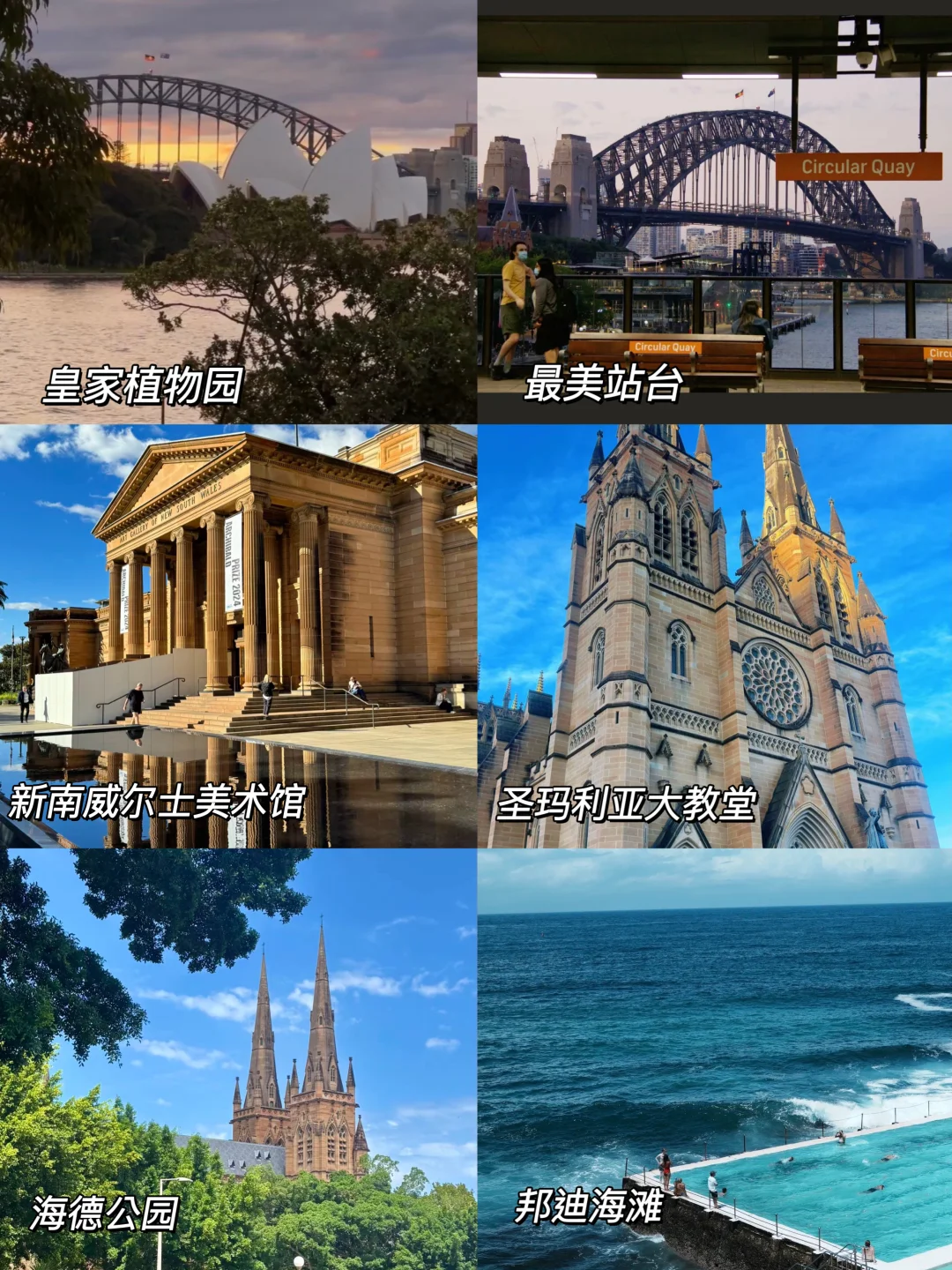 偷偷去悉尼被发现啦⁉️