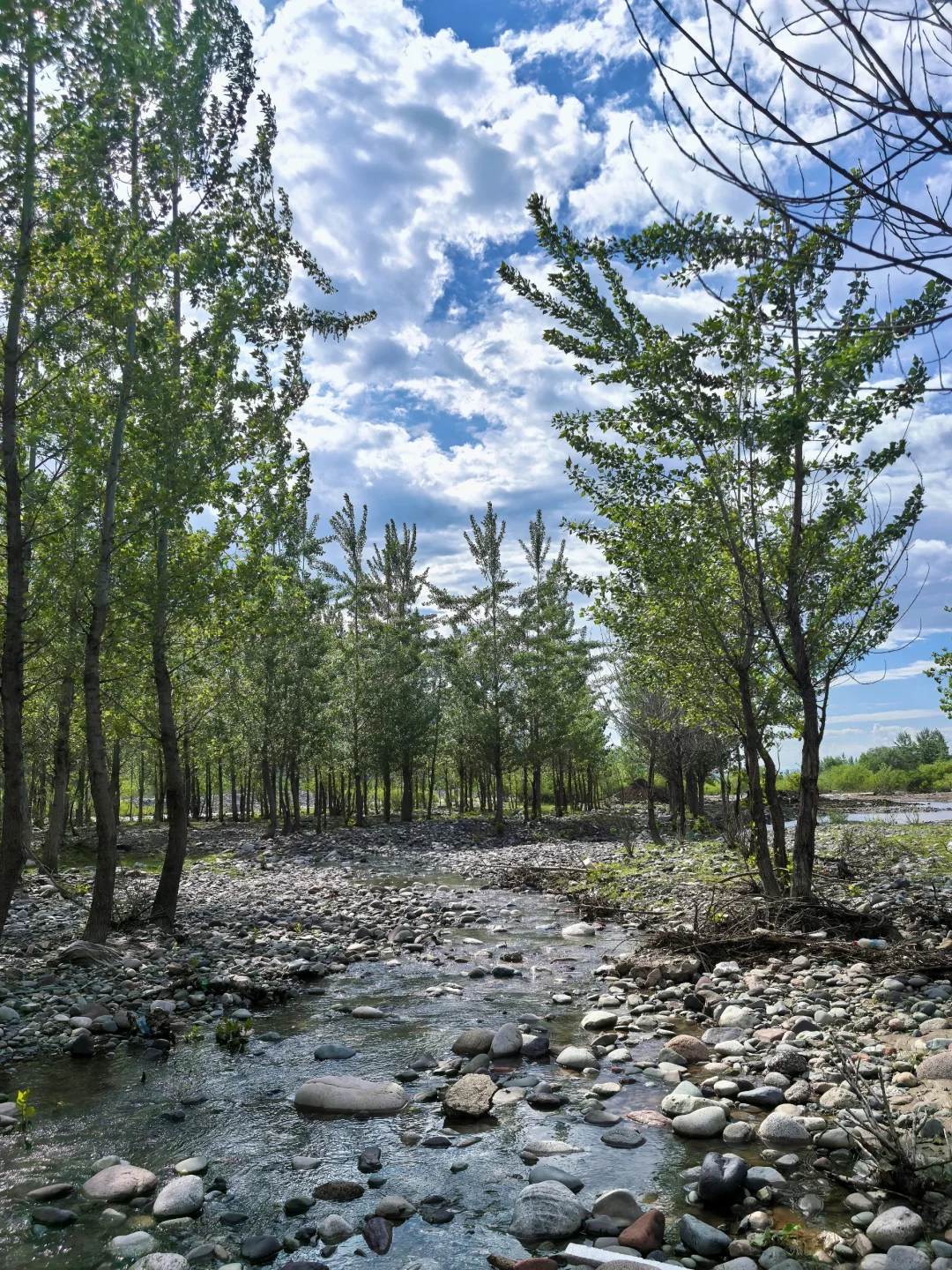 神仙民宿！叶子木屋周边打卡指南