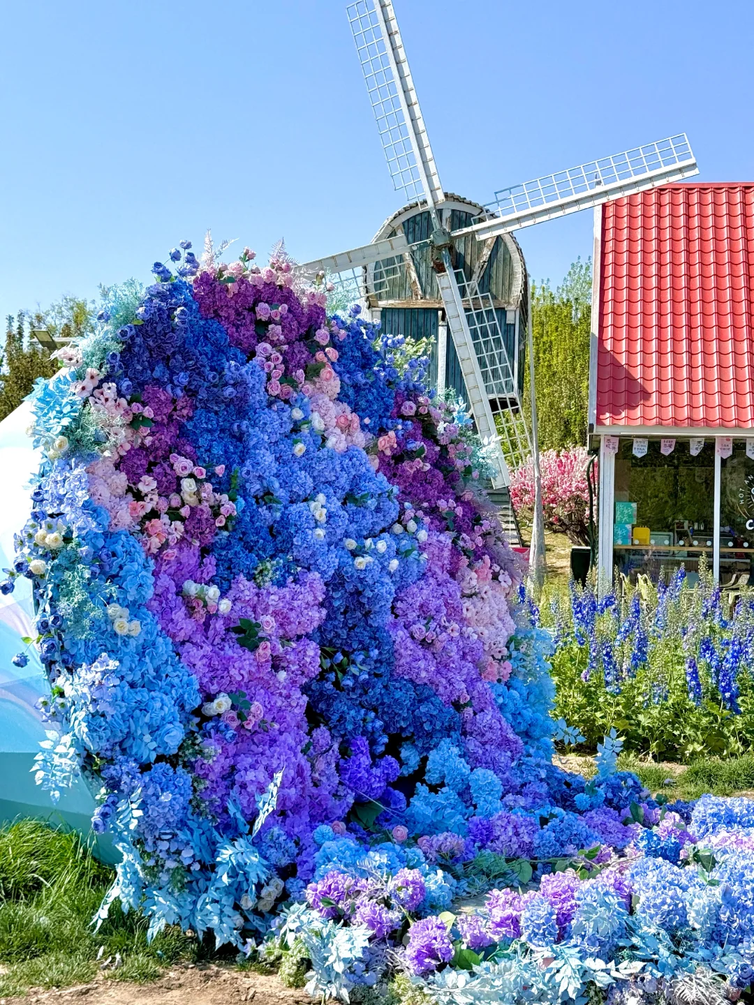 4.15实拍live，北京有自己的莫奈花园‼️