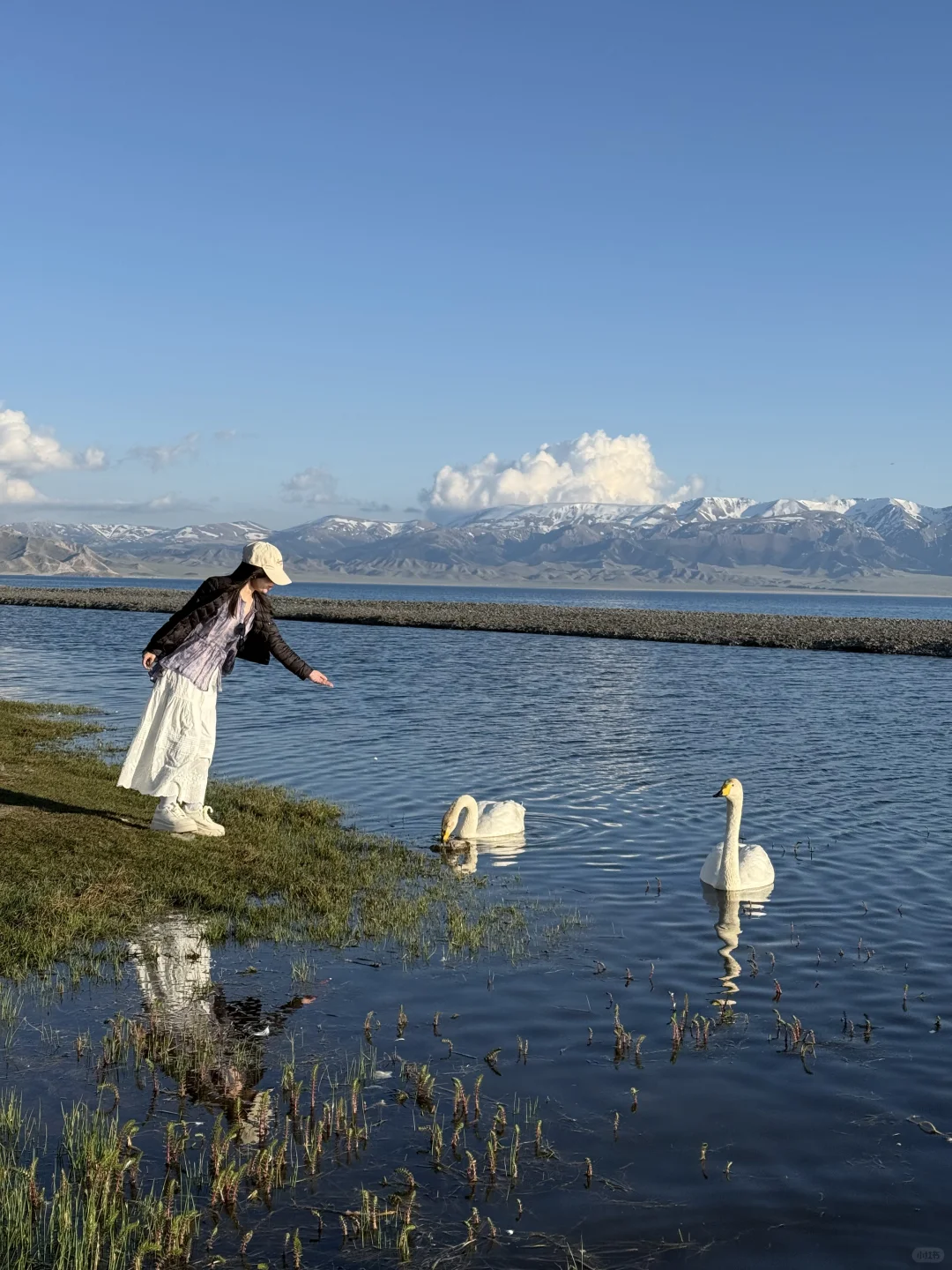 Live图的意义，我终于找到了梦中的那片草原