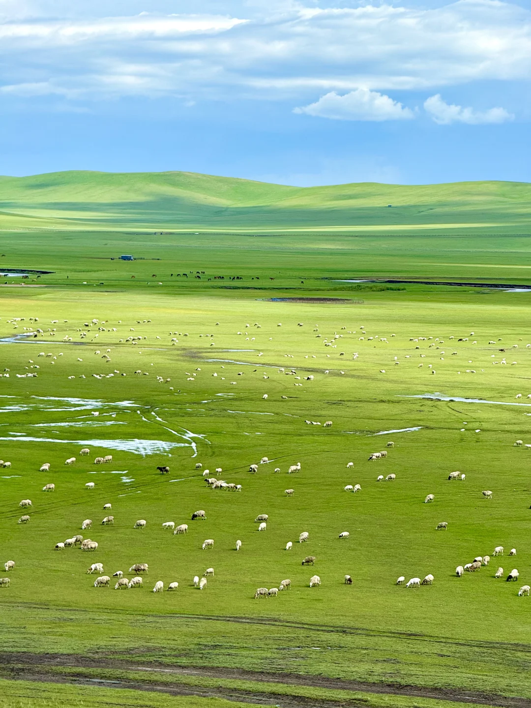 原图！油画里的风景居然真实存在…