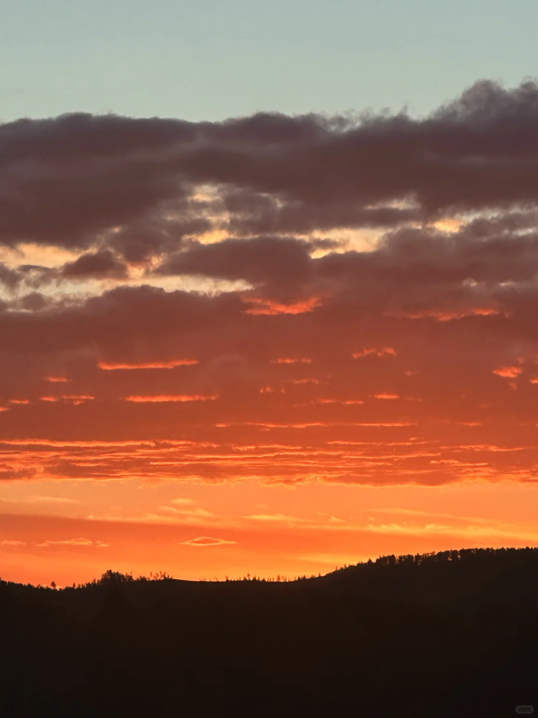 原图！油画里的风景居然真实存在…