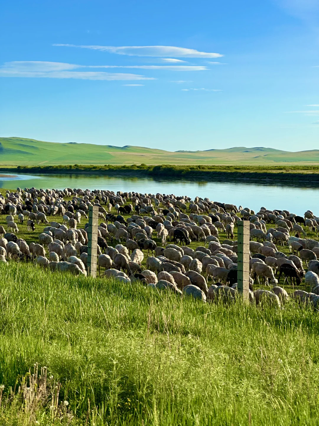 原图！油画里的风景居然真实存在…