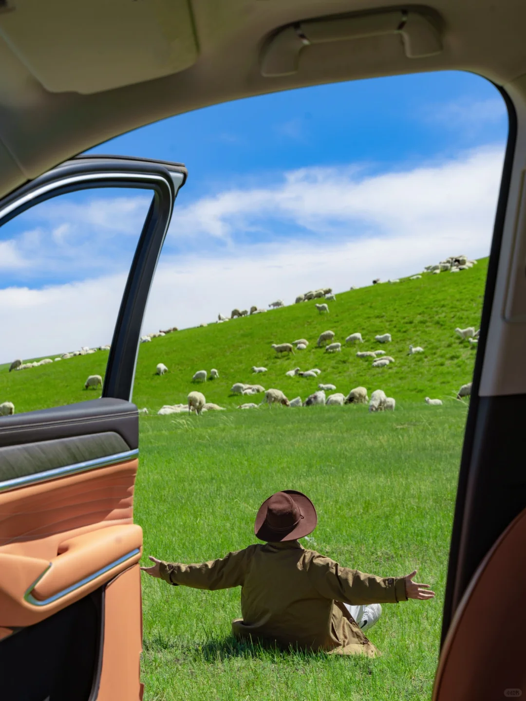 人生建议❗️一定要来一次夏天的呼伦贝尔❗️