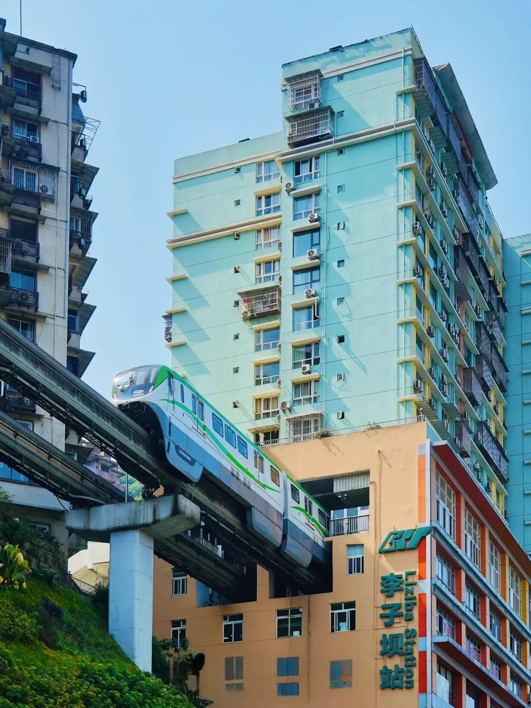 等待六月花开后的人生