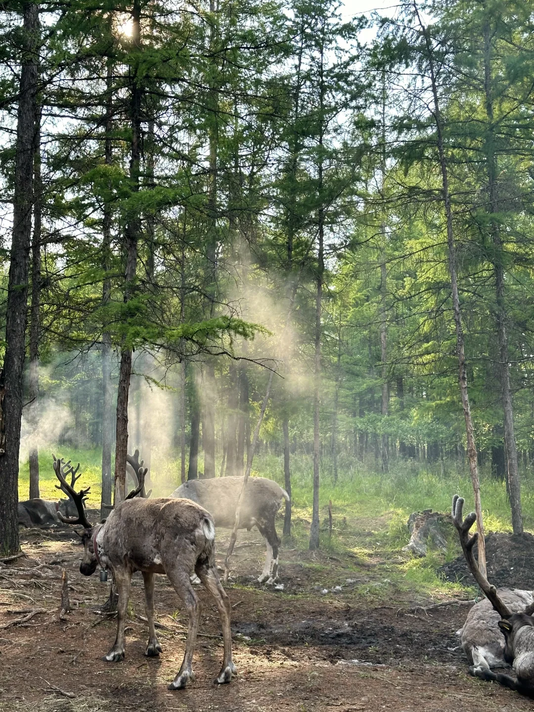 原图！油画里的风景居然真实存在…