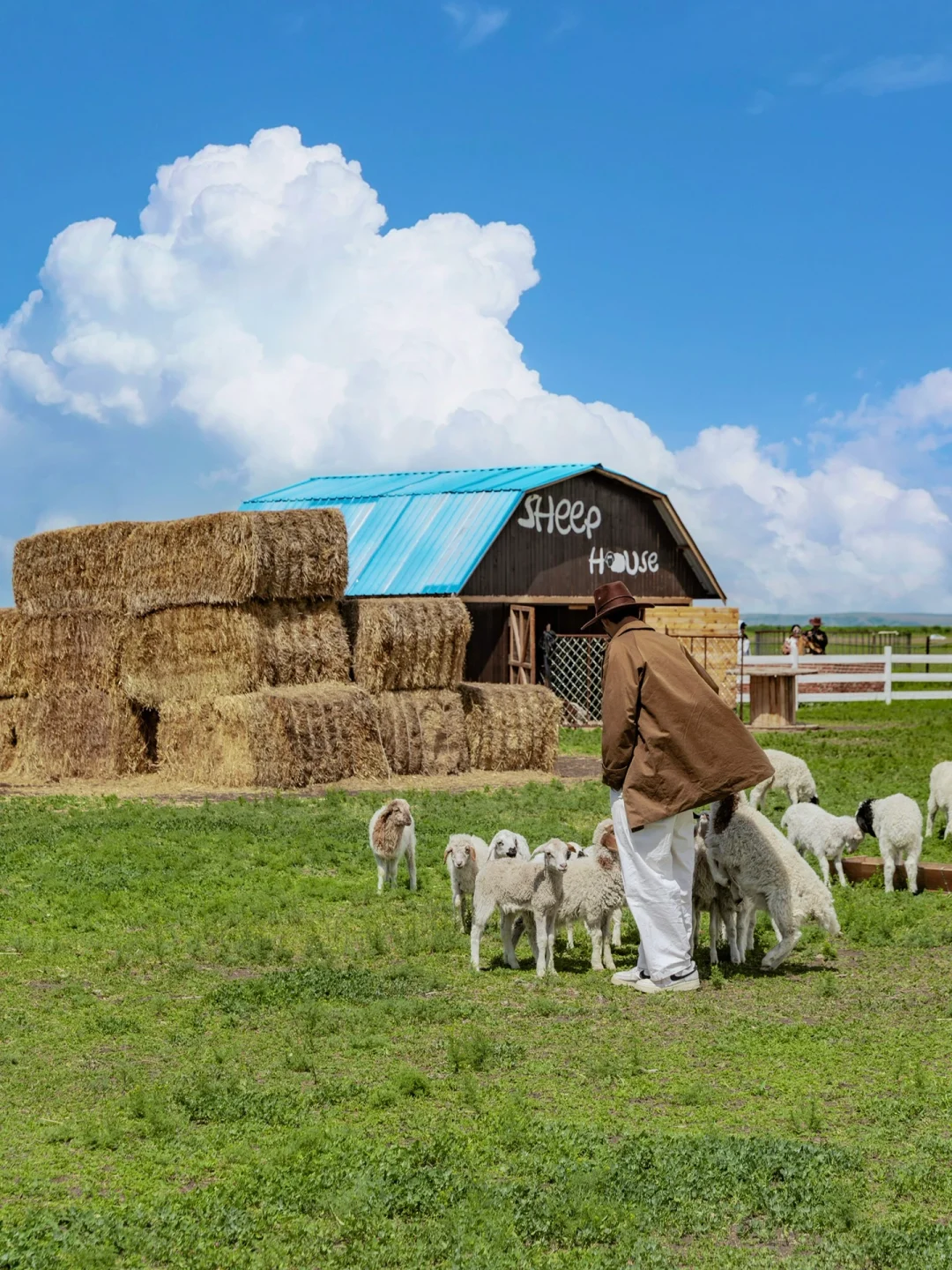 人生建议❗️一定要来一次夏天的呼伦贝尔❗️