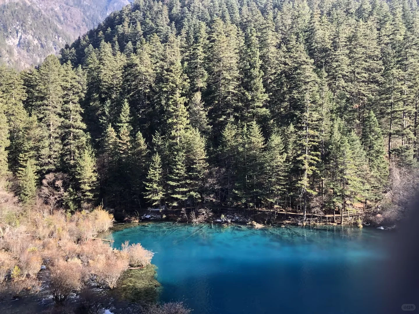 九寨沟最新实况💥 美到词穷，直击灵魂！