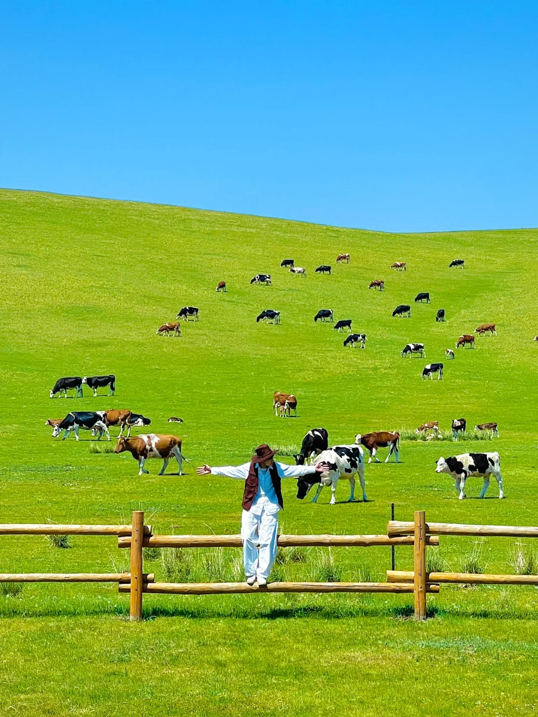 人生建议❗️一定要来一次夏天的呼伦贝尔❗️