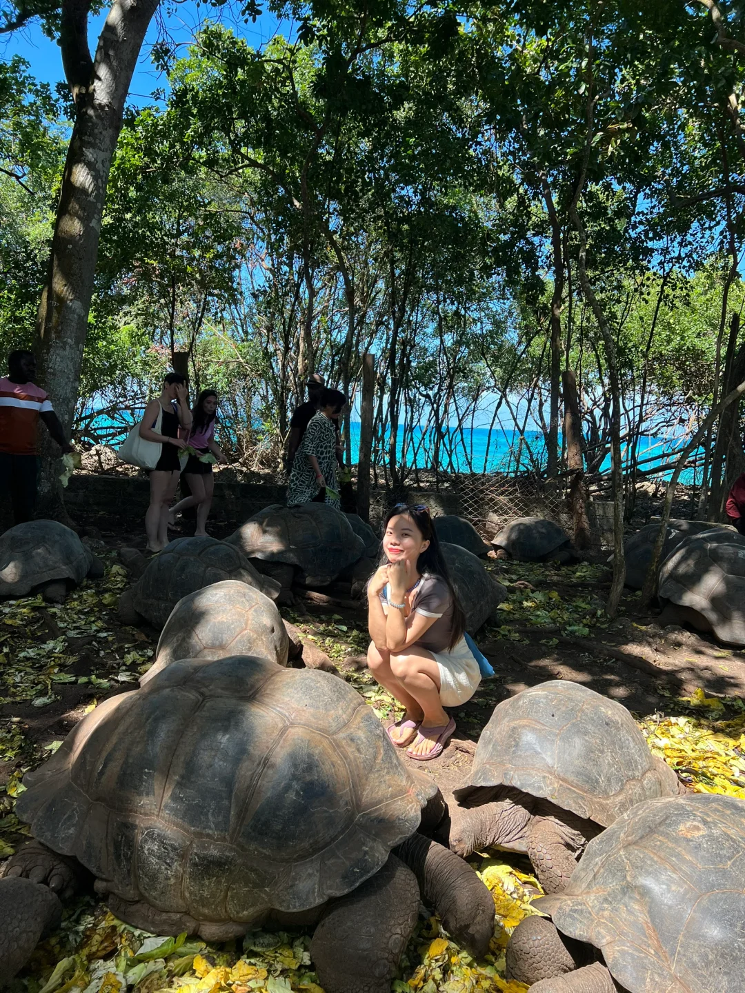 32岁走过42个国家 我推荐你旅游必去国家是