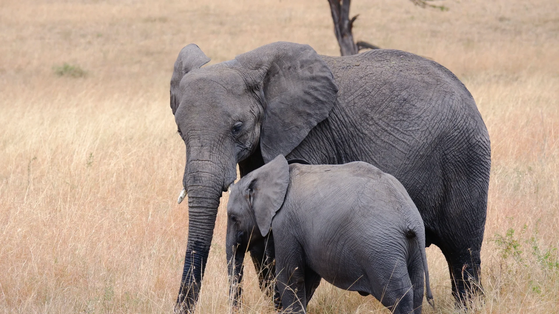 32岁走过42个国家 我推荐你旅游必去国家是