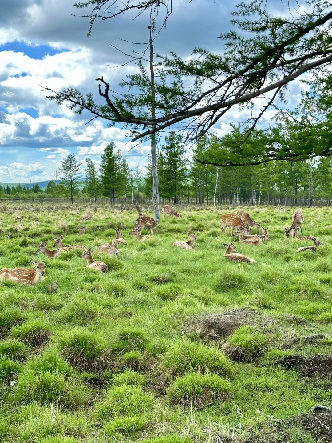 原图！油画里的风景居然真实存在…