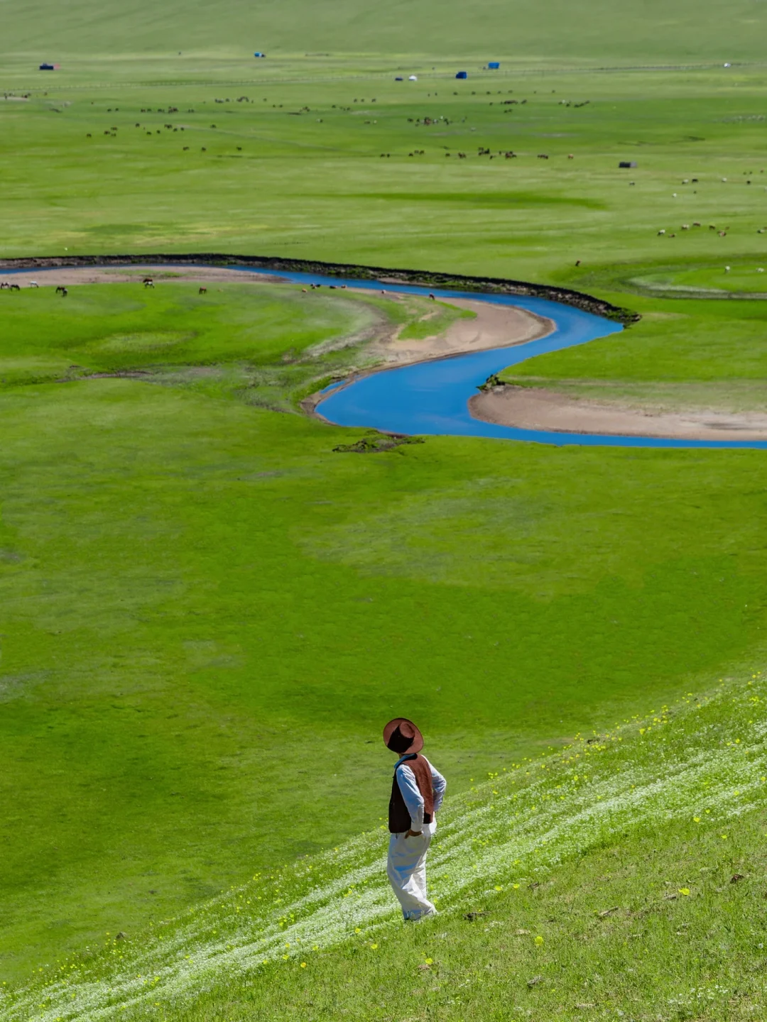 人生建议❗️一定要来一次夏天的呼伦贝尔❗️