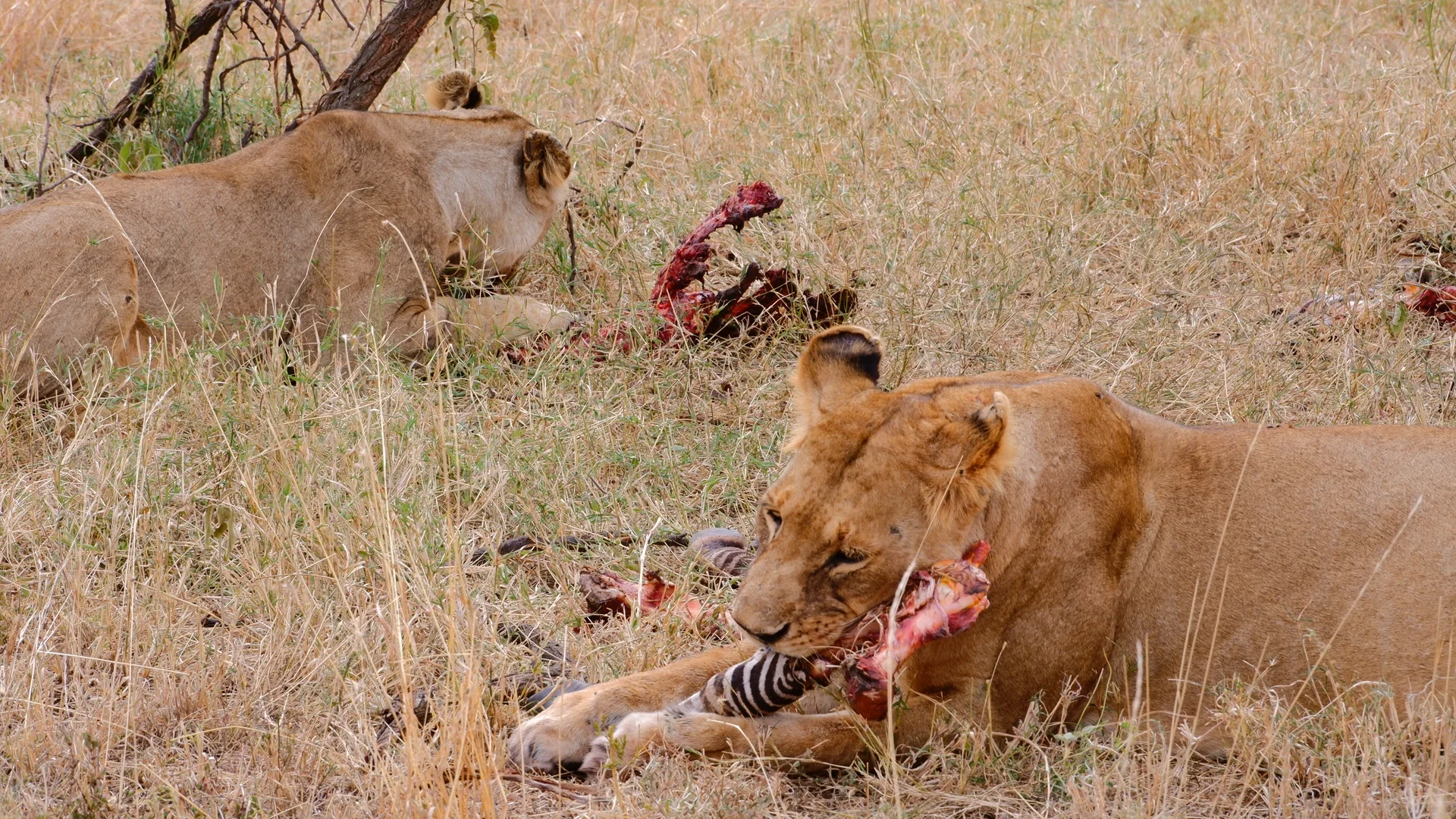 32岁走过42个国家 我推荐你旅游必去国家是