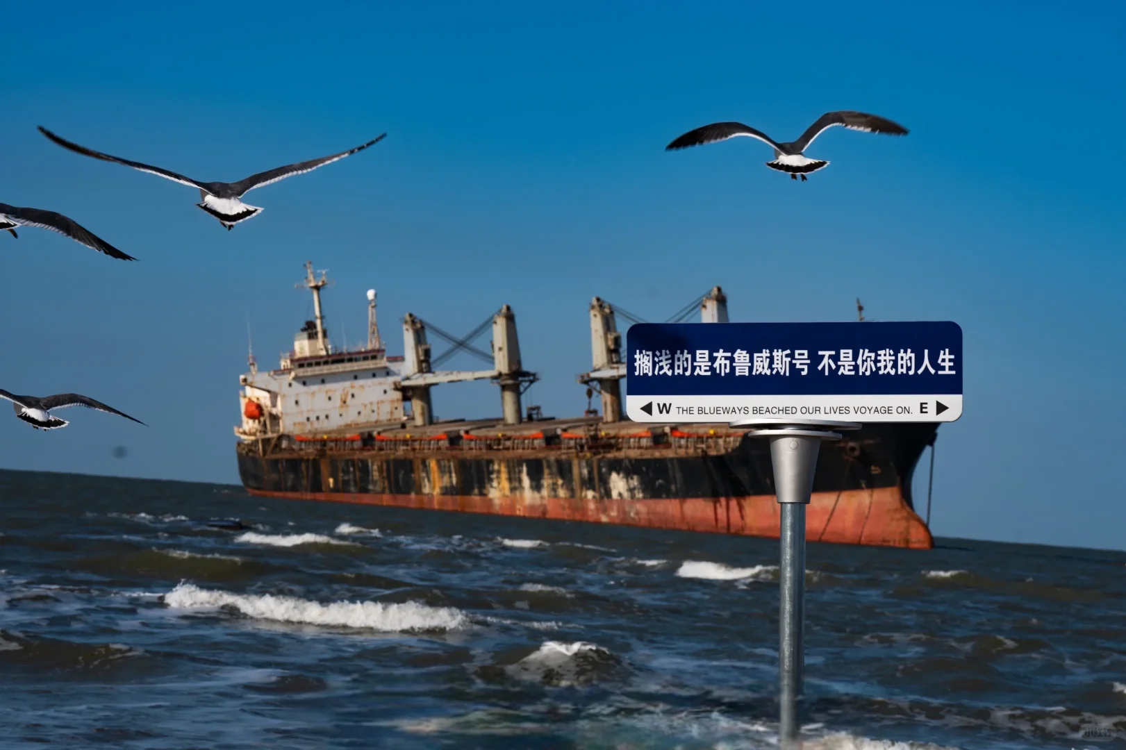 等待六月花开后的人生