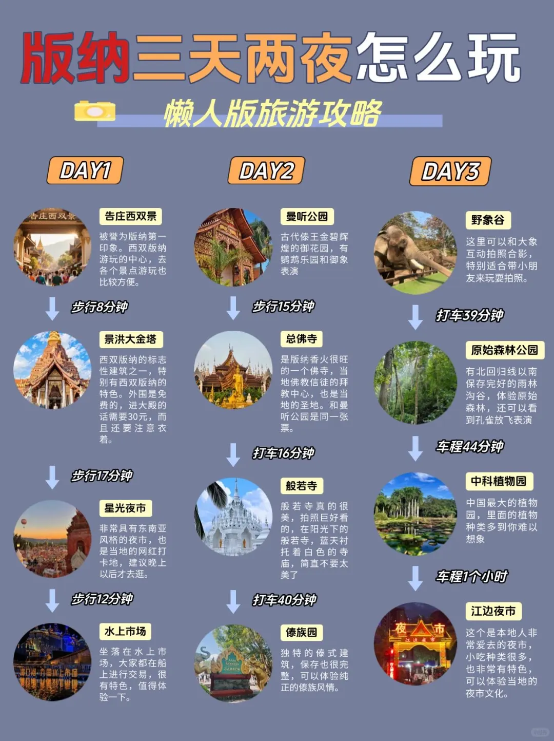 版纳懒人版旅游攻略！主打一个省时不绕路…