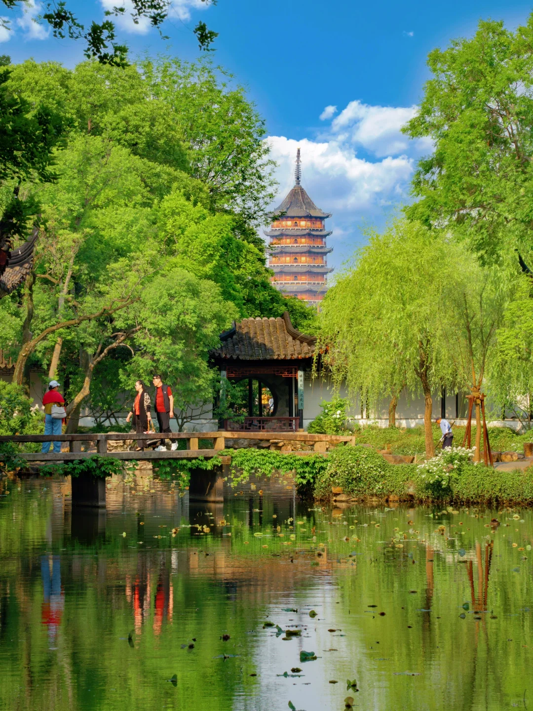 为了这1⃣️6⃣️张图，特地来了趟苏州