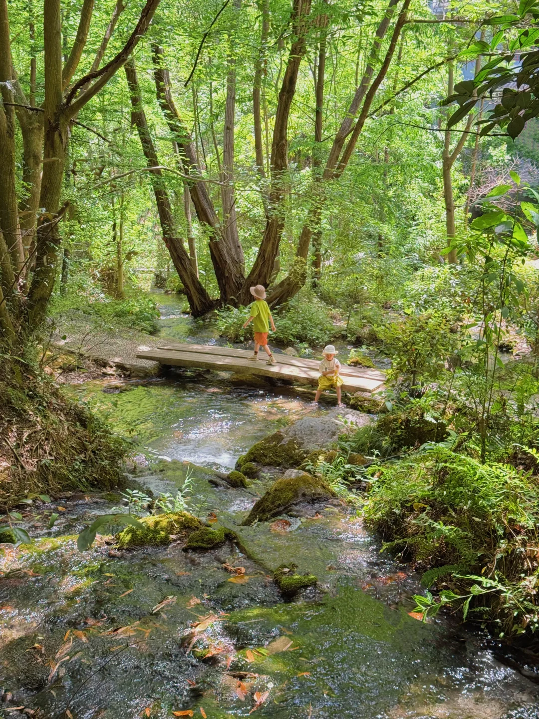 西安2天1夜✅带娃去童话森林住木屋玩瀑布~