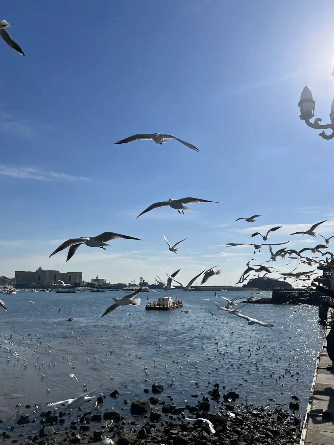 青岛三天两晚保姆级攻略|本地人私藏