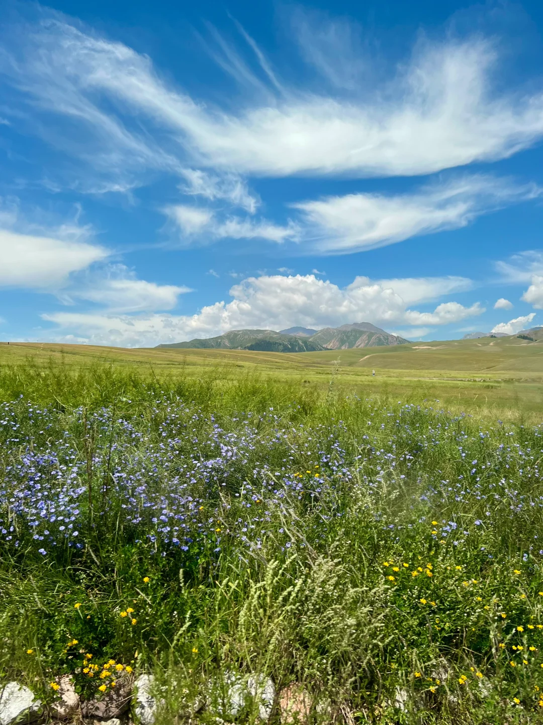 为什么今年大家都在劝退新疆？有这么糟糕吗？