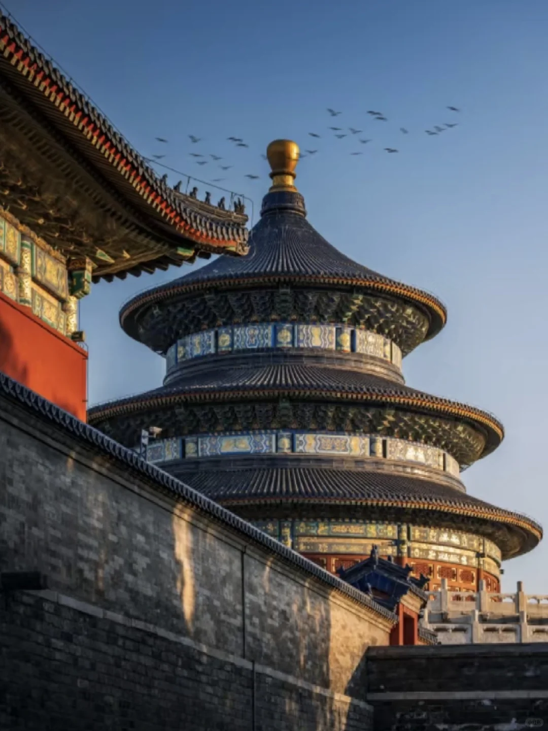 5.20北京已回，我的消费观崩塌了.....