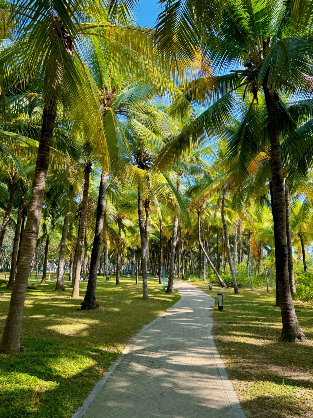 为了这几张图｜特地去了一趟大小洞天🏖️