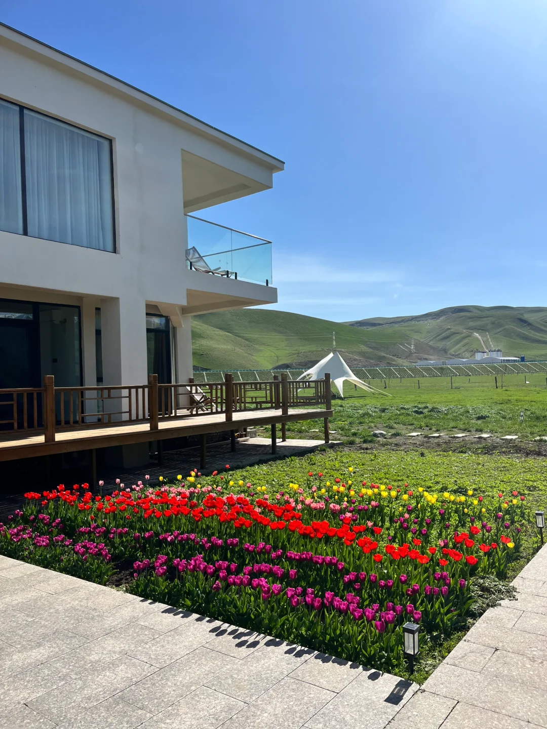 果然很新疆！推开门就是大草原⛰️开业打折中