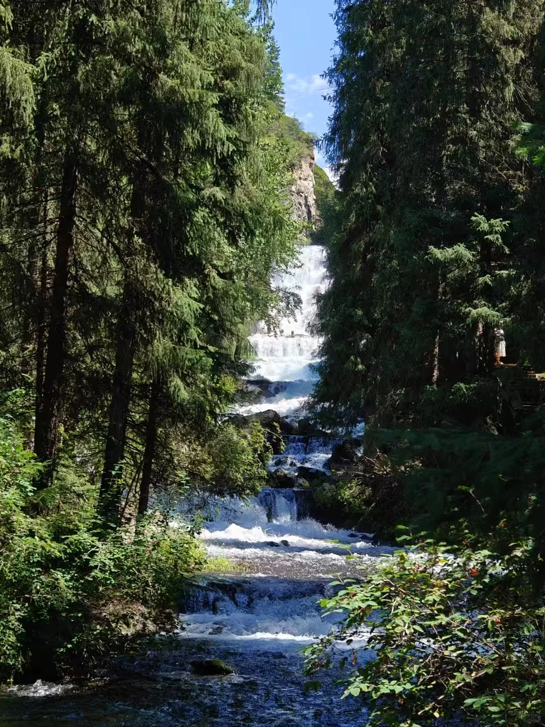 🌄天山天池 | 夏日限定的清凉仙境攻略