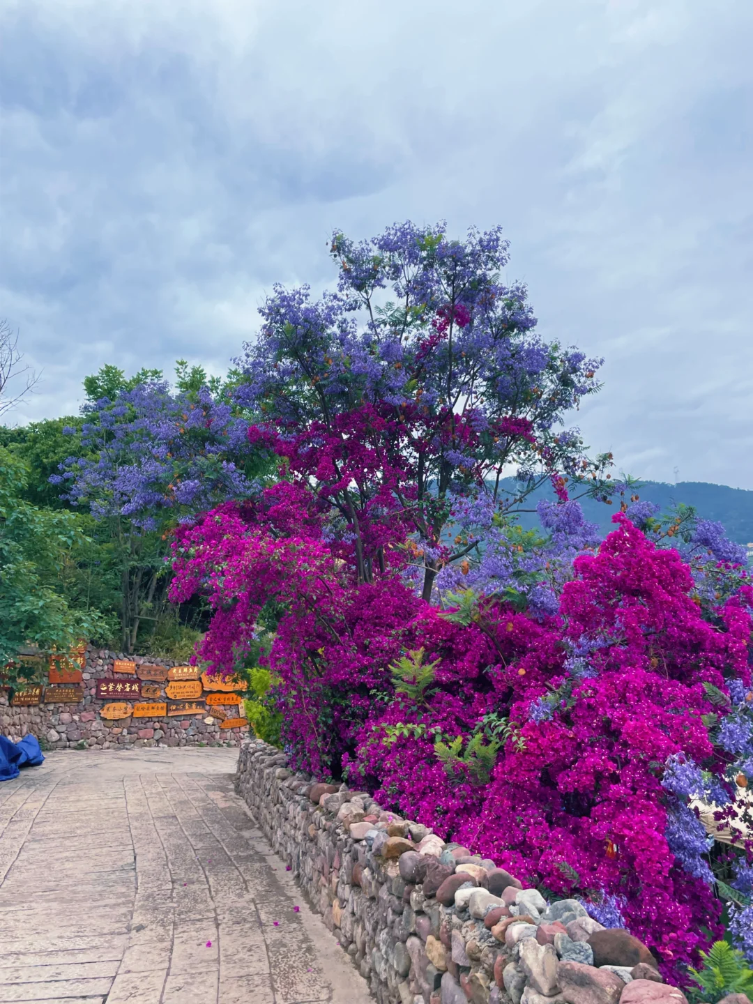 寻觅小众景点ing📸超级适合拍照的网红古村