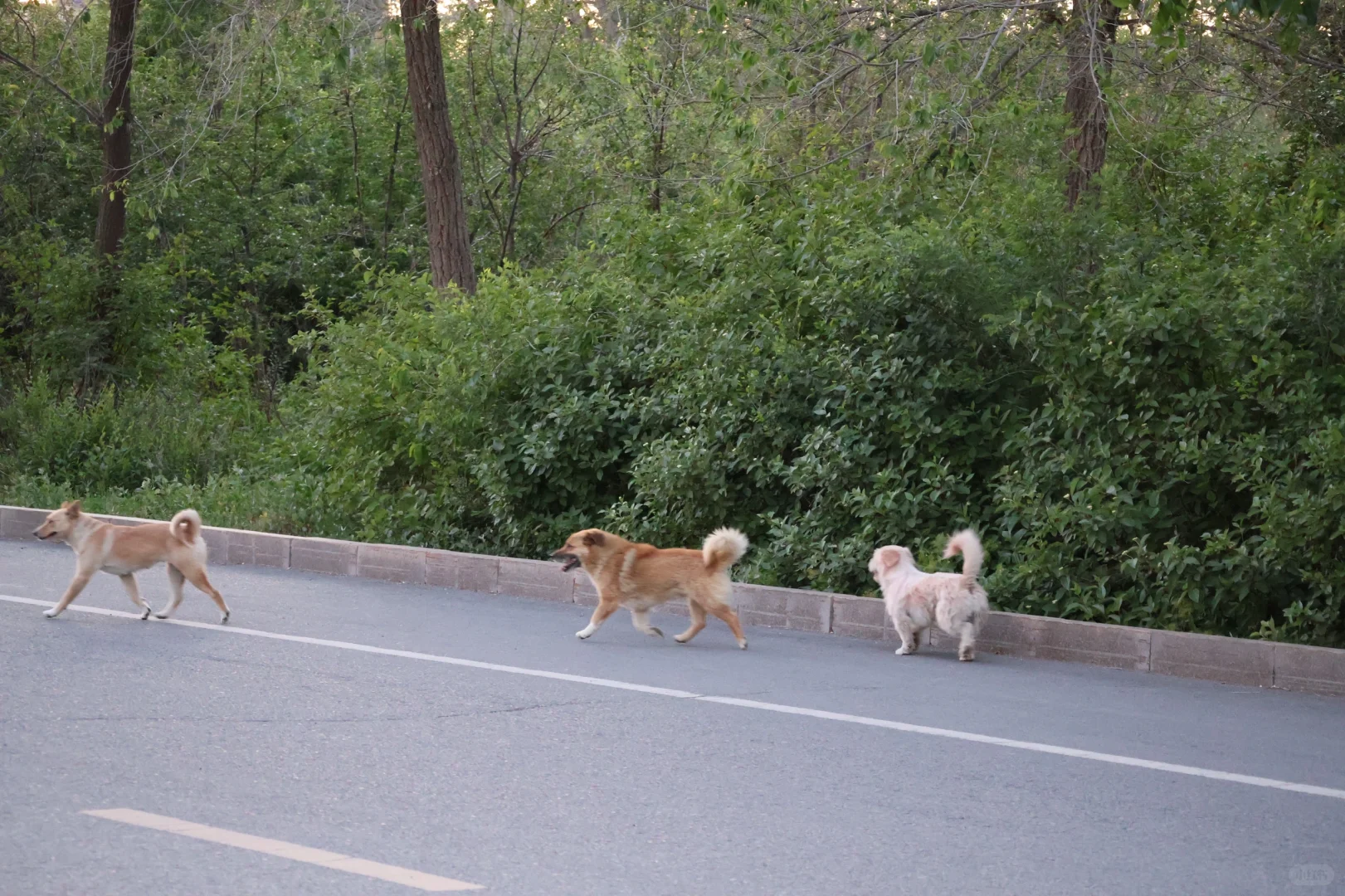 塔城保姆级攻略