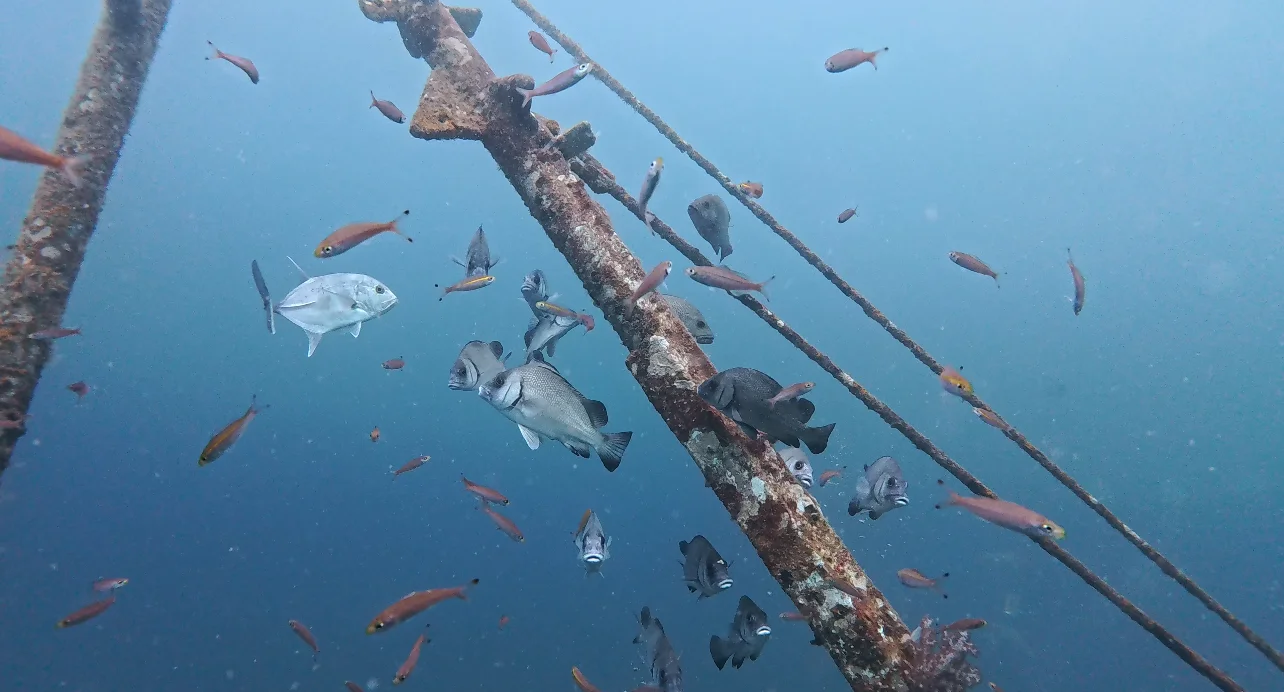 女生SOLO旅行亚庇经验分享