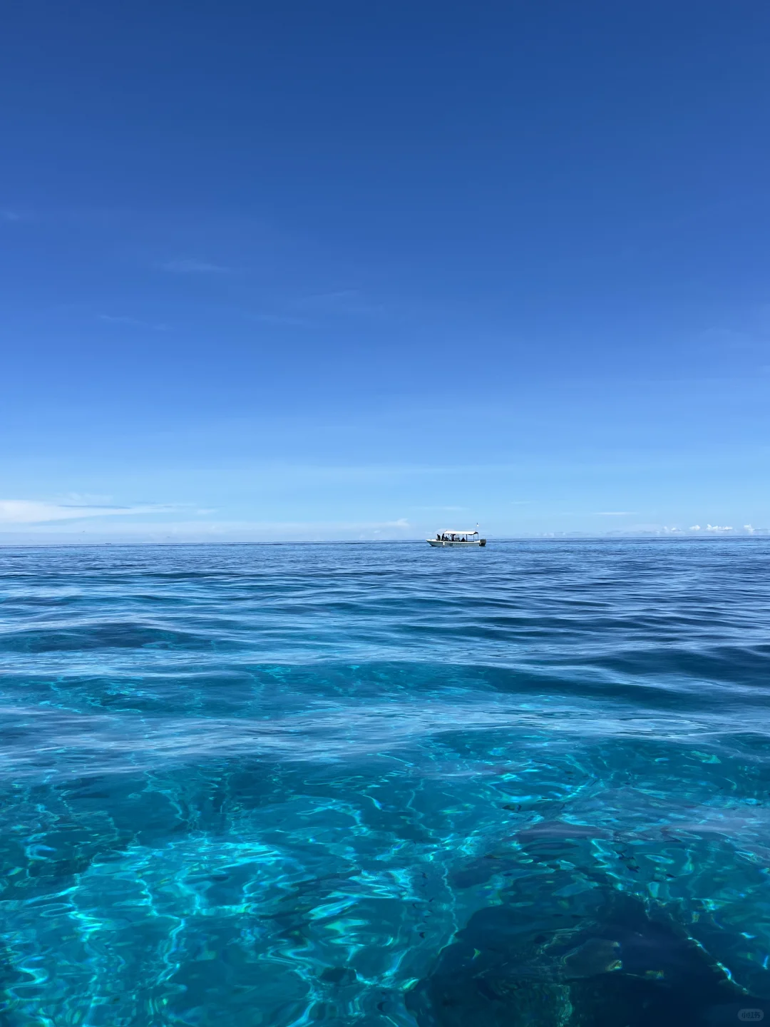 仙本那适合能吃苦的人（五一已回不删