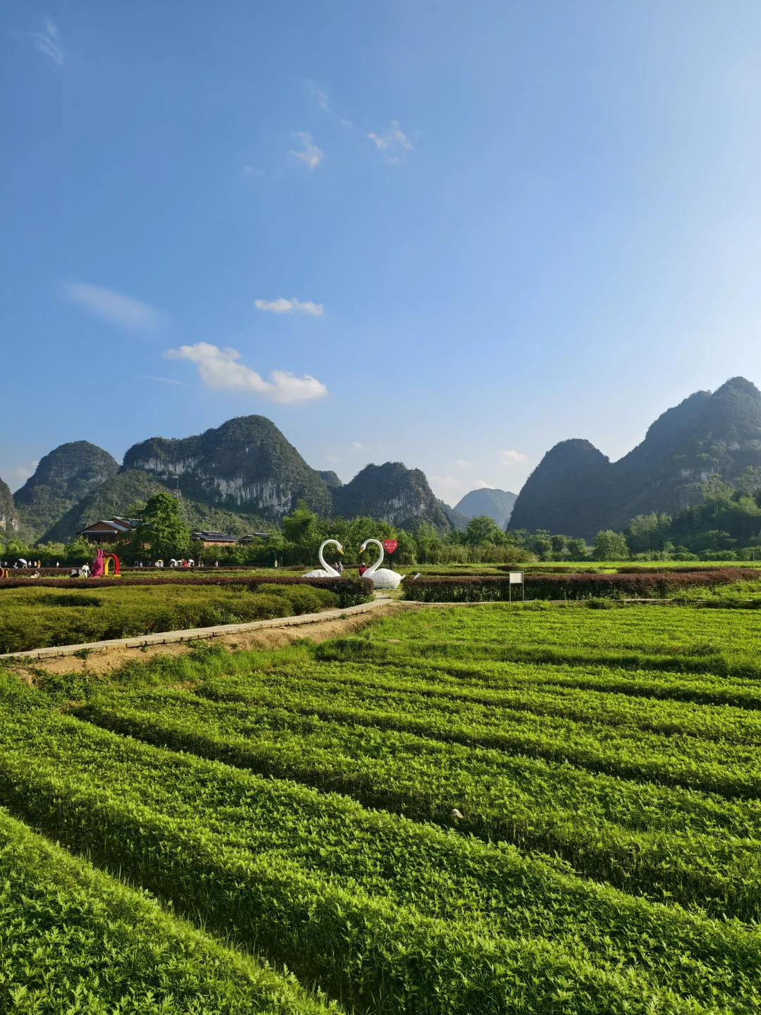 一不小心走进了山水画里！✨