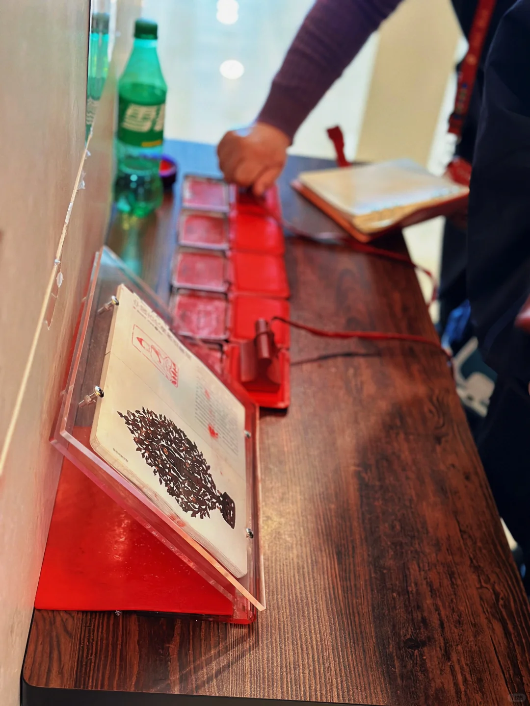 沈阳必打卡｜辽宁省博旅游攻略