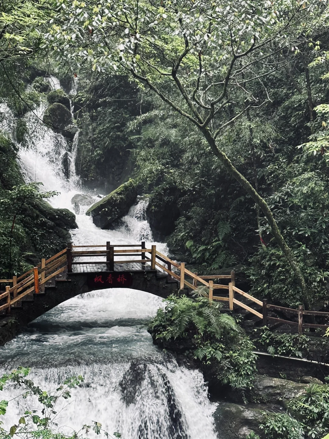 重庆周边一日游🌳向山而行