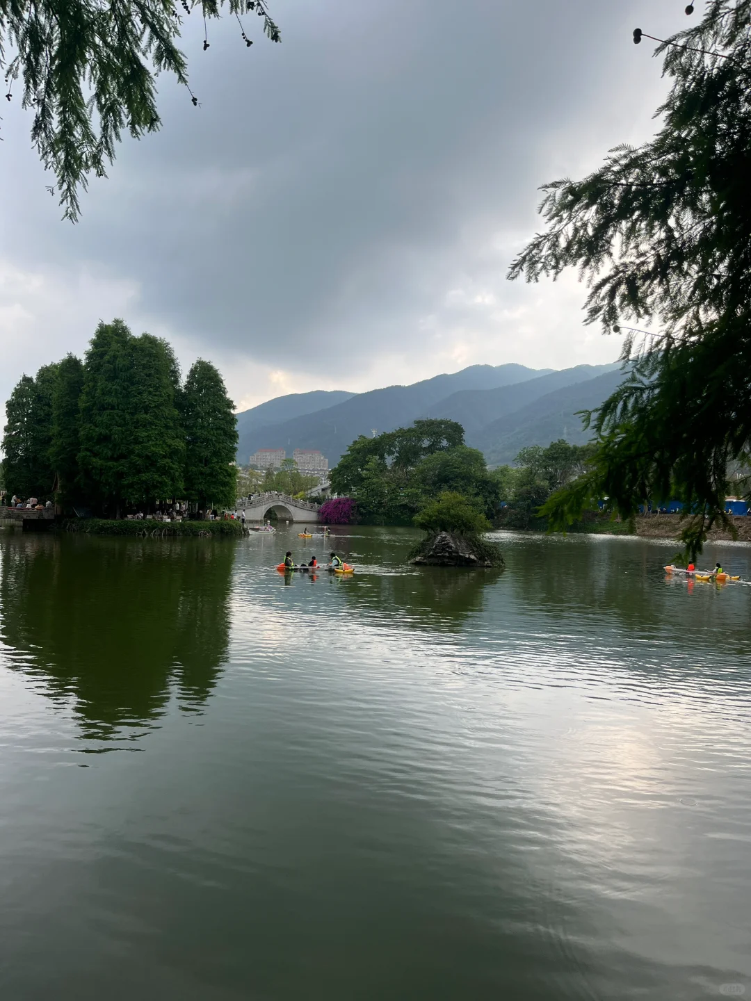 😭肇庆七星岩回来了，我的建议是……